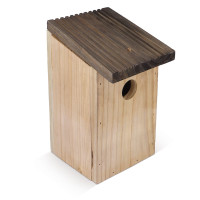 holz